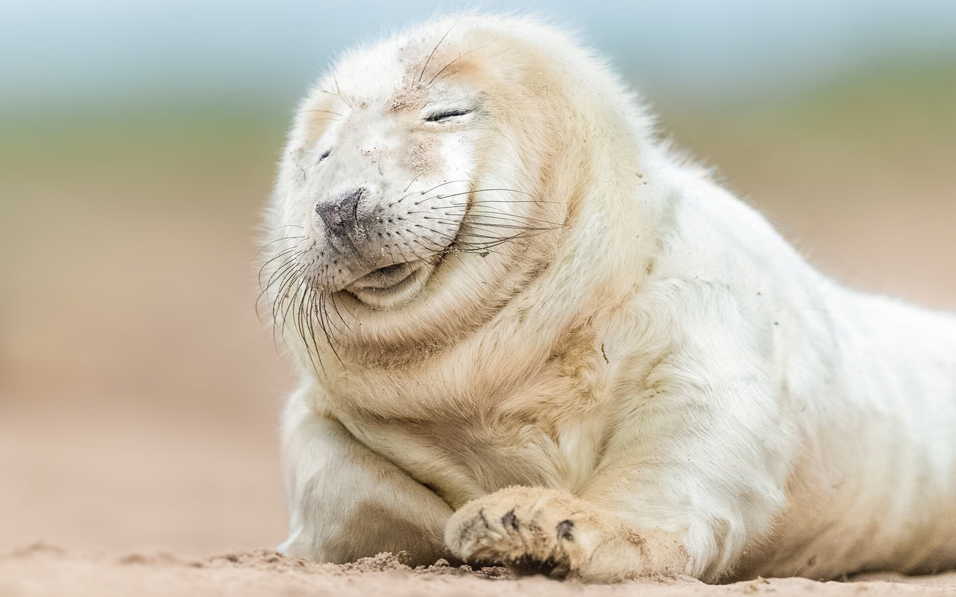 Leyu Sport登录入口-“英超球队全力备战，争夺欧战席位火热开启”，英超欧战名单