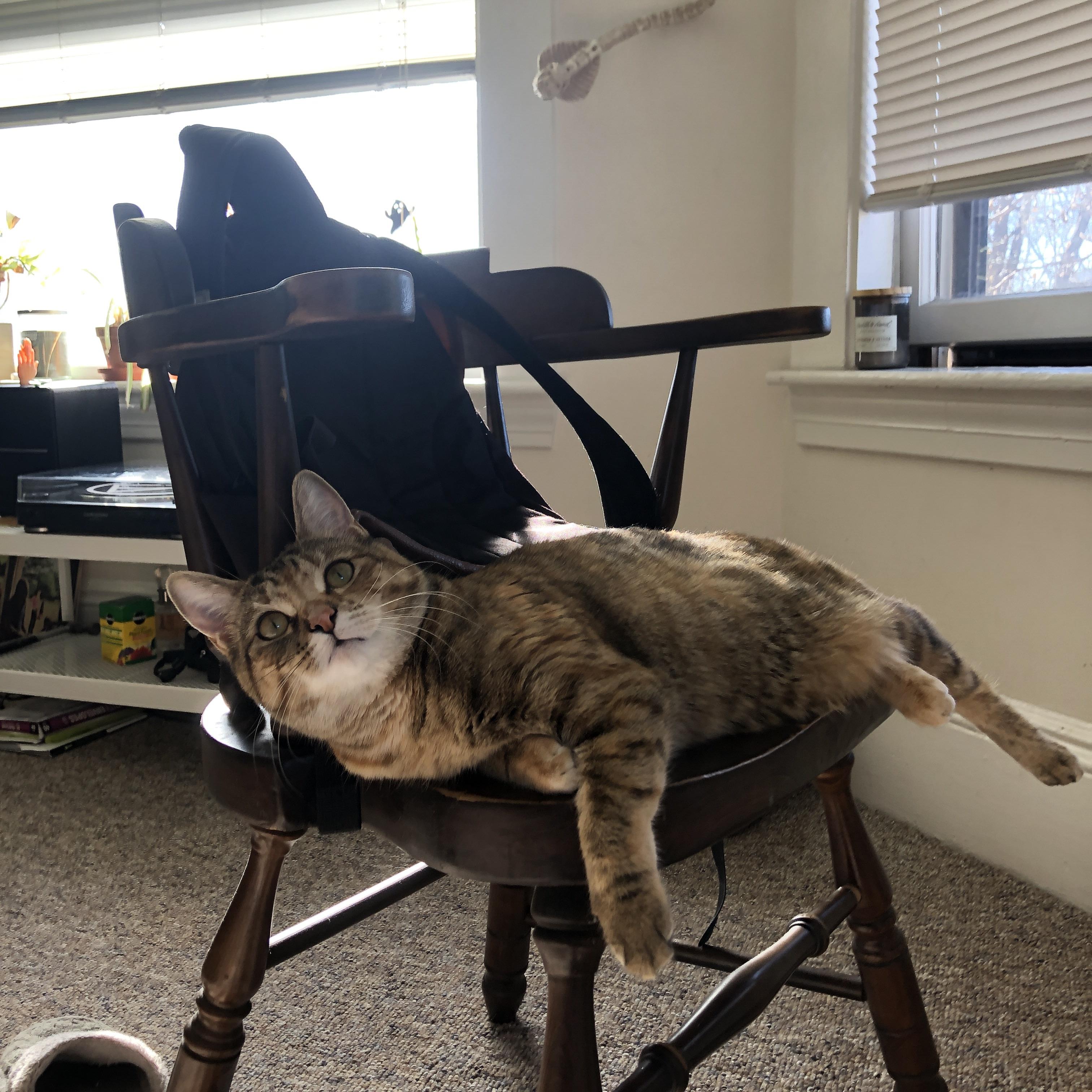 《虚拟货币在电竞中的应用:机遇与潜在风险》