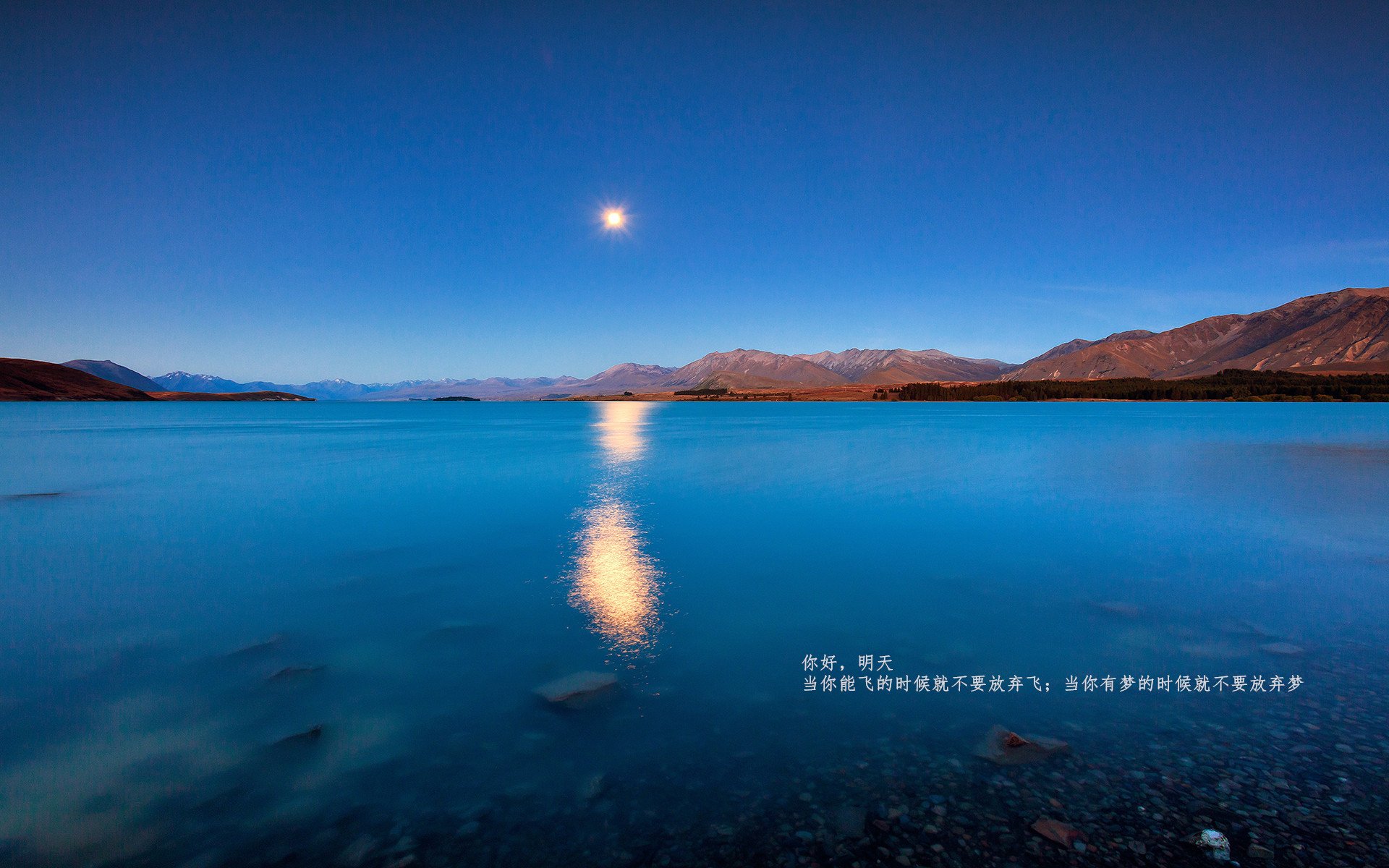 【队伍调整】赛季中期换人策略成胜负关键,啥时候换赛季