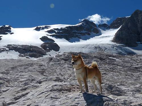 乐鱼体育(中国)官方网站-史上“最疯狂”的单场得分纪录，谁能重现？，单场得分最高的球员排名