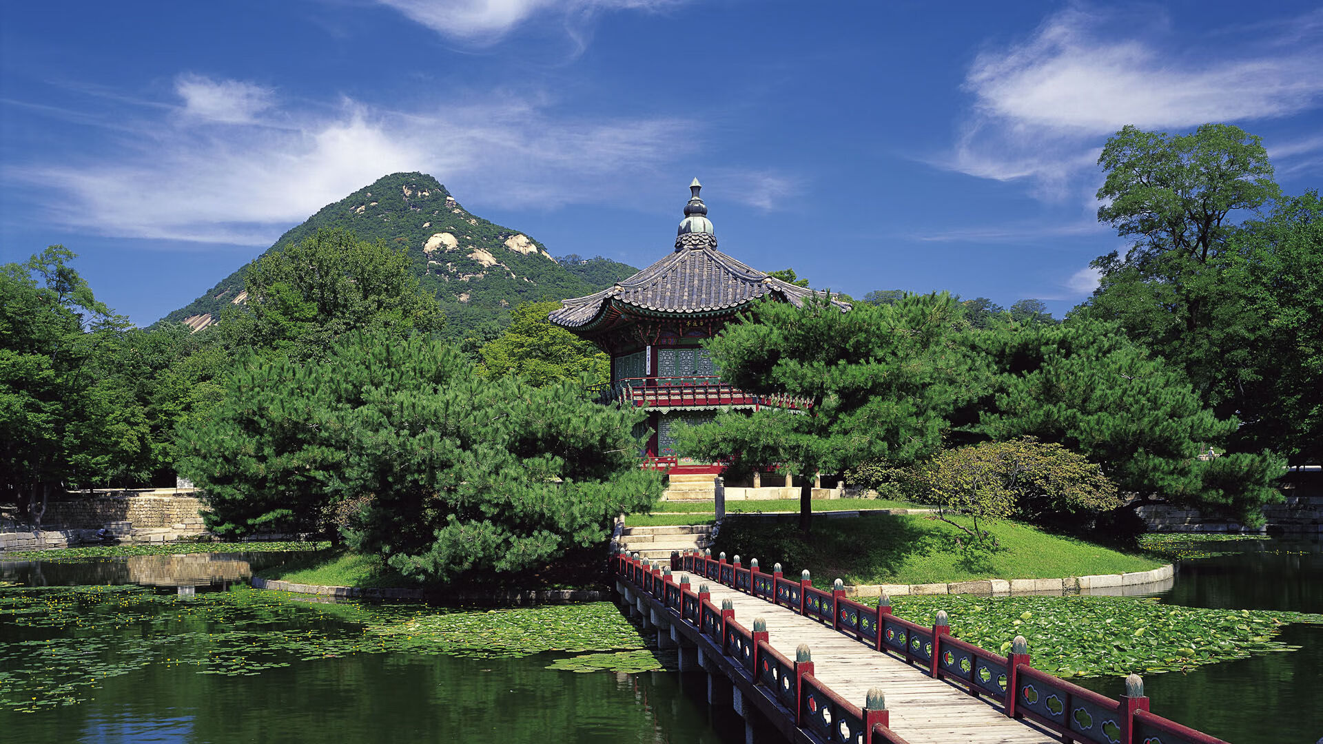 勒沃库森客场2-1战胜莱比锡,继续领跑德甲,勒沃库森比赛视频聚胜顽球汇