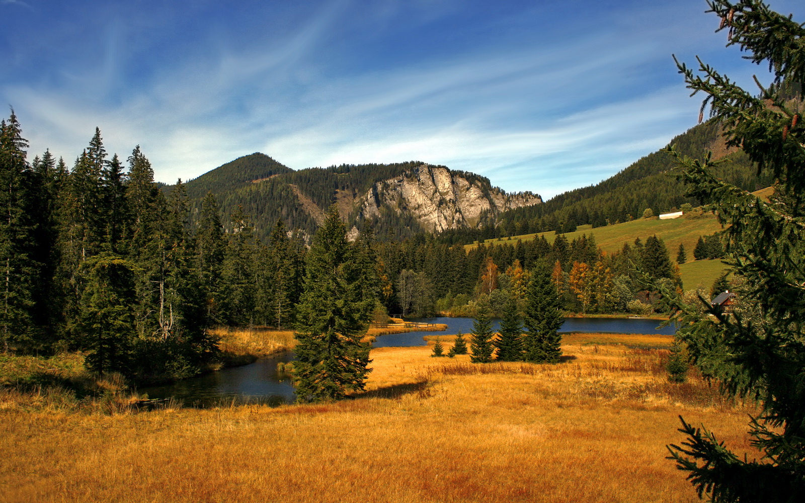 国王客场逆转狼队,取得惊险胜利,篮网逆转国王