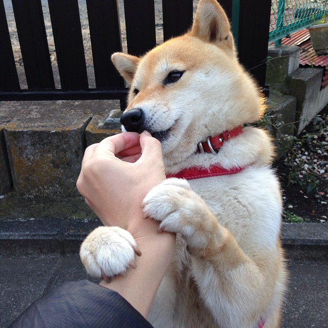 开拓者主帅公开晒训练成绩表 队员拼劲十足,开拓者新主帅