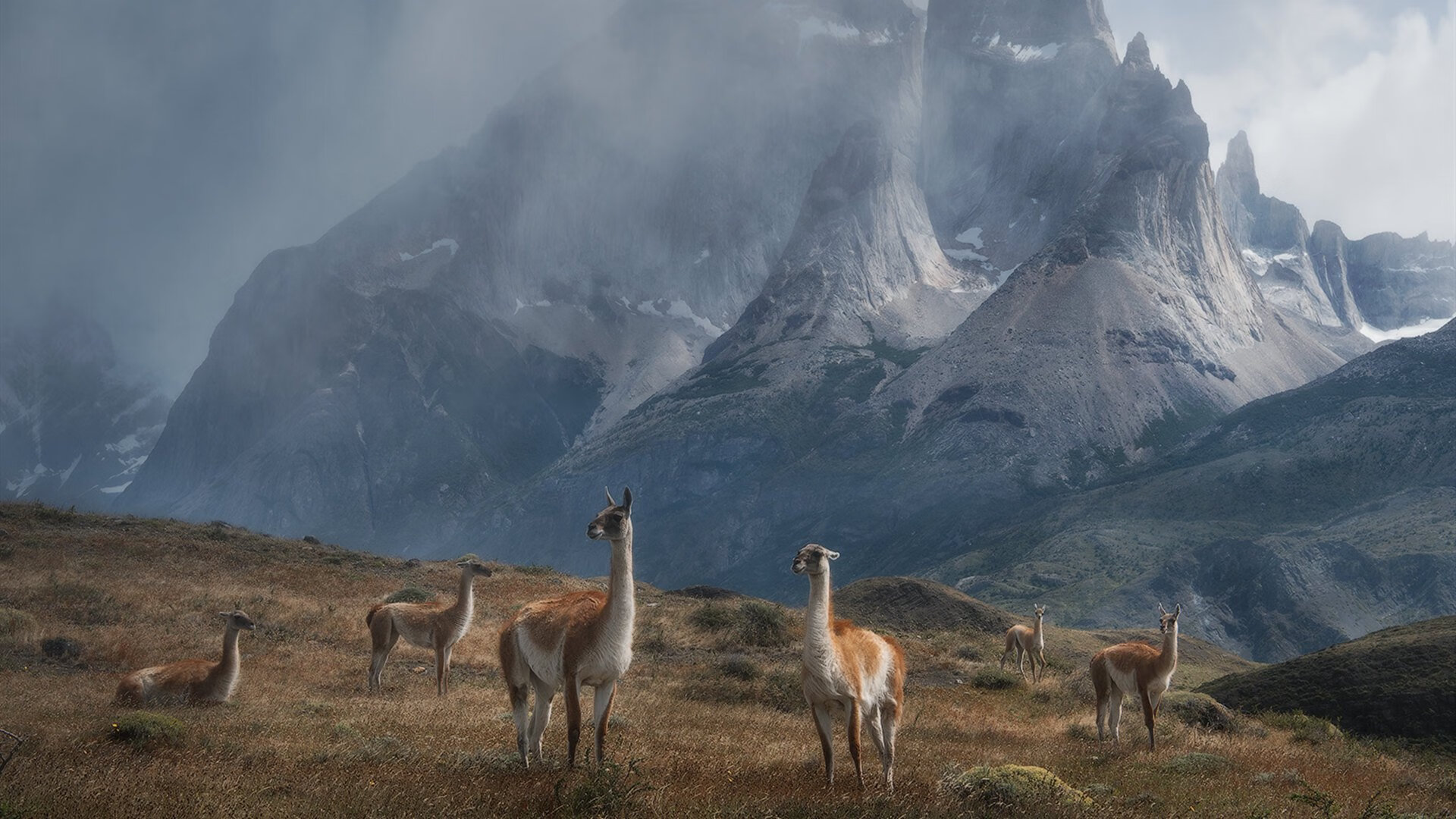比利亚雷亚尔球员接受手术治疗，比利亚雷亚尔现主帅是谁