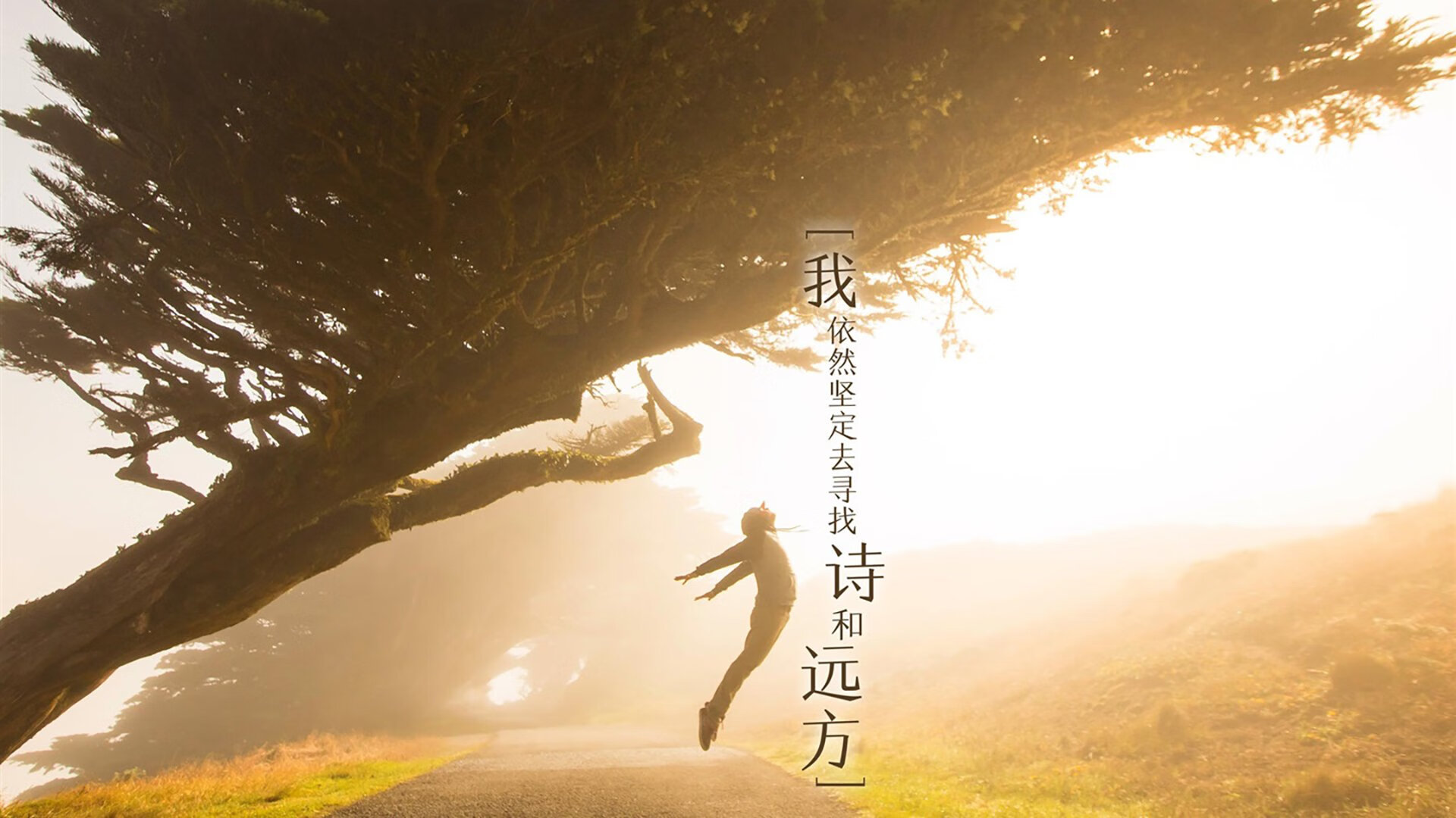 英雄联盟赛事品牌价值提升，英雄联盟赛事品牌价值提升方案