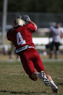 乐鱼vip-英超教练利用人工智能辅助赛前对手情报分析，英超的dna教练