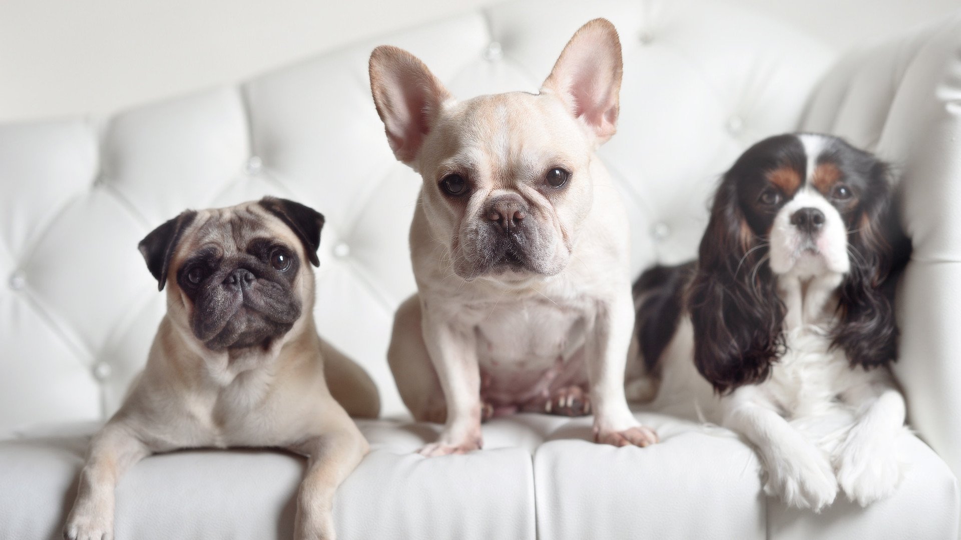 Leyu Sport登录入口-中队后程体力略显不足 澳队抓住机会，中队后面填什么