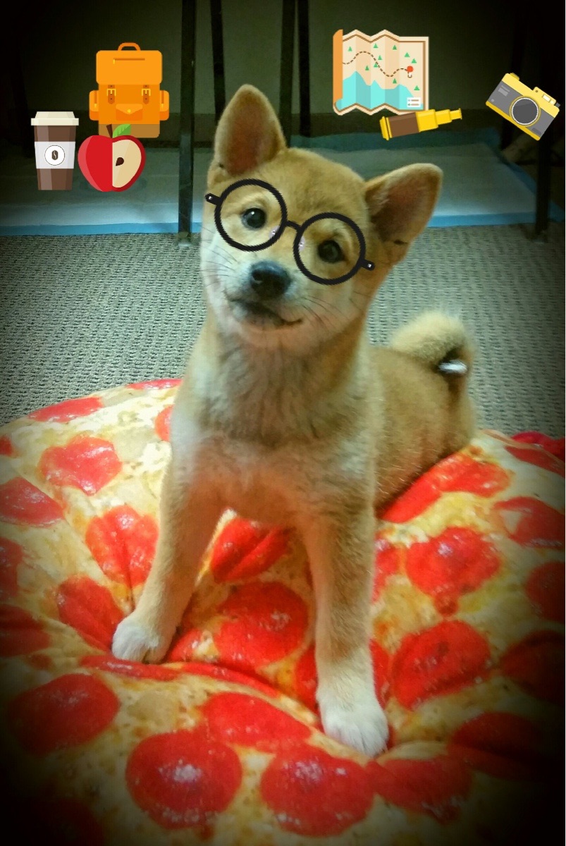 蝶泳转身效率显著提升，蝶泳转身的动作要领