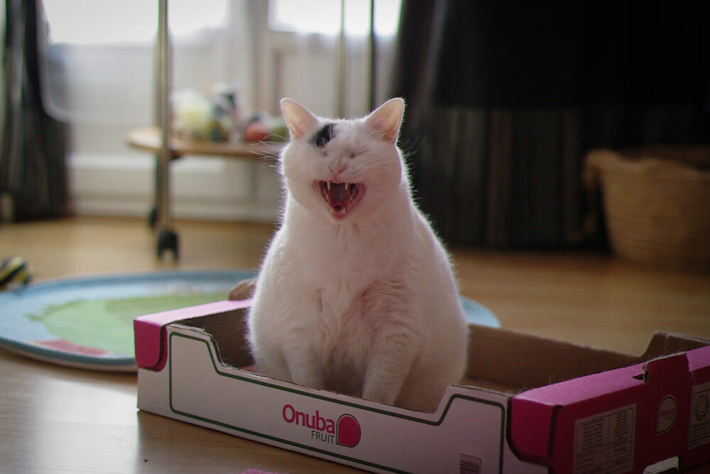 leyu乐鱼体育综合-高水平选手划水对称性评分排行榜