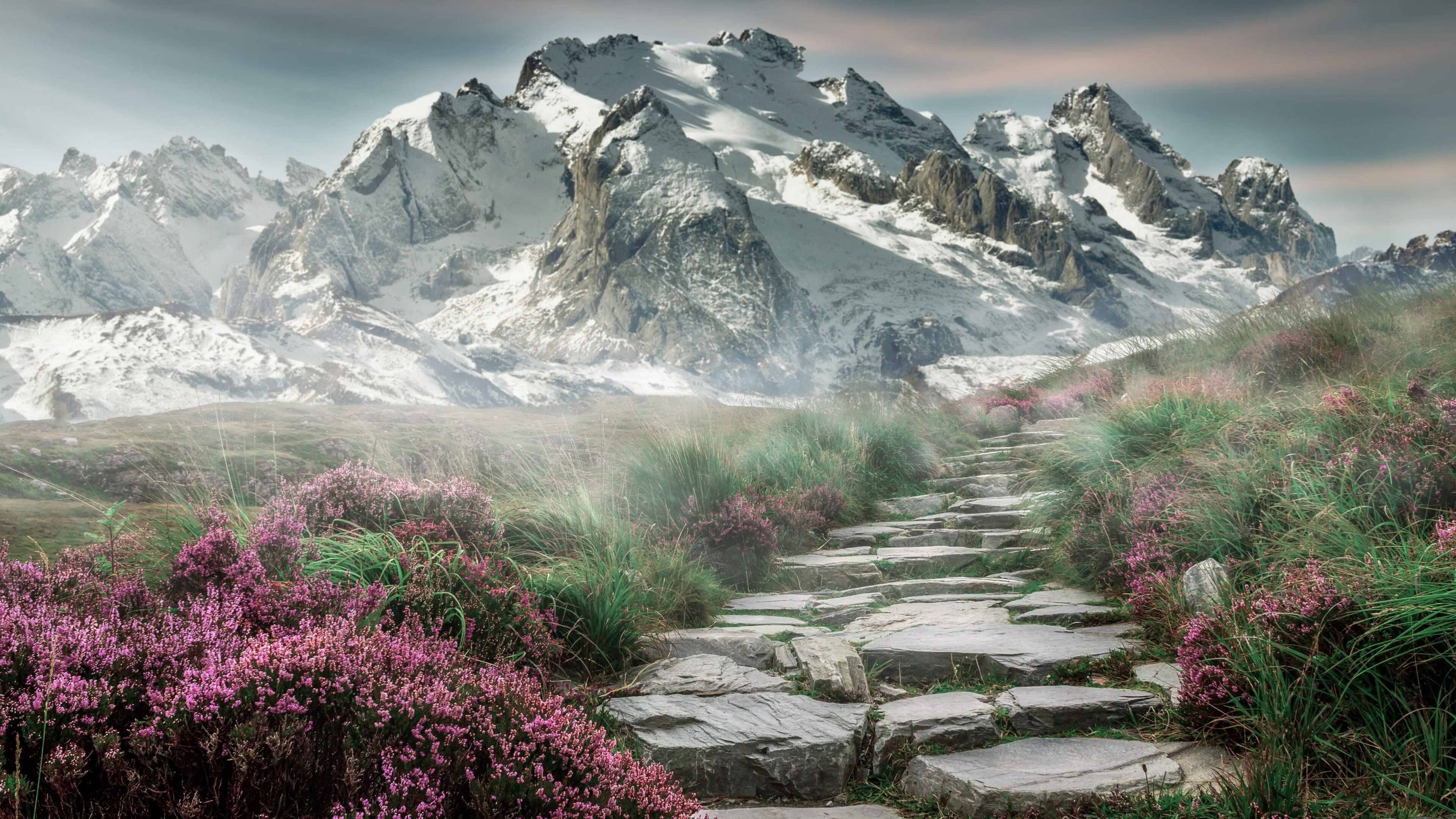 乐鱼电竞在线平台-美洲杯明星助阵：比赛精彩纷呈！，美洲杯明星球员